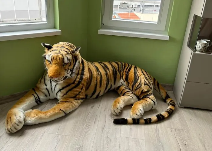 Sunrise Smart Βάρνα